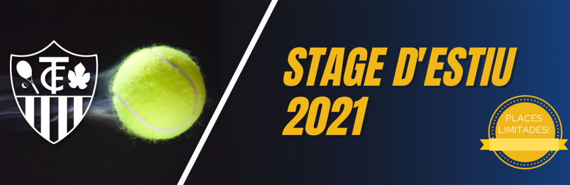 banner_portada_stage_2021.jpg