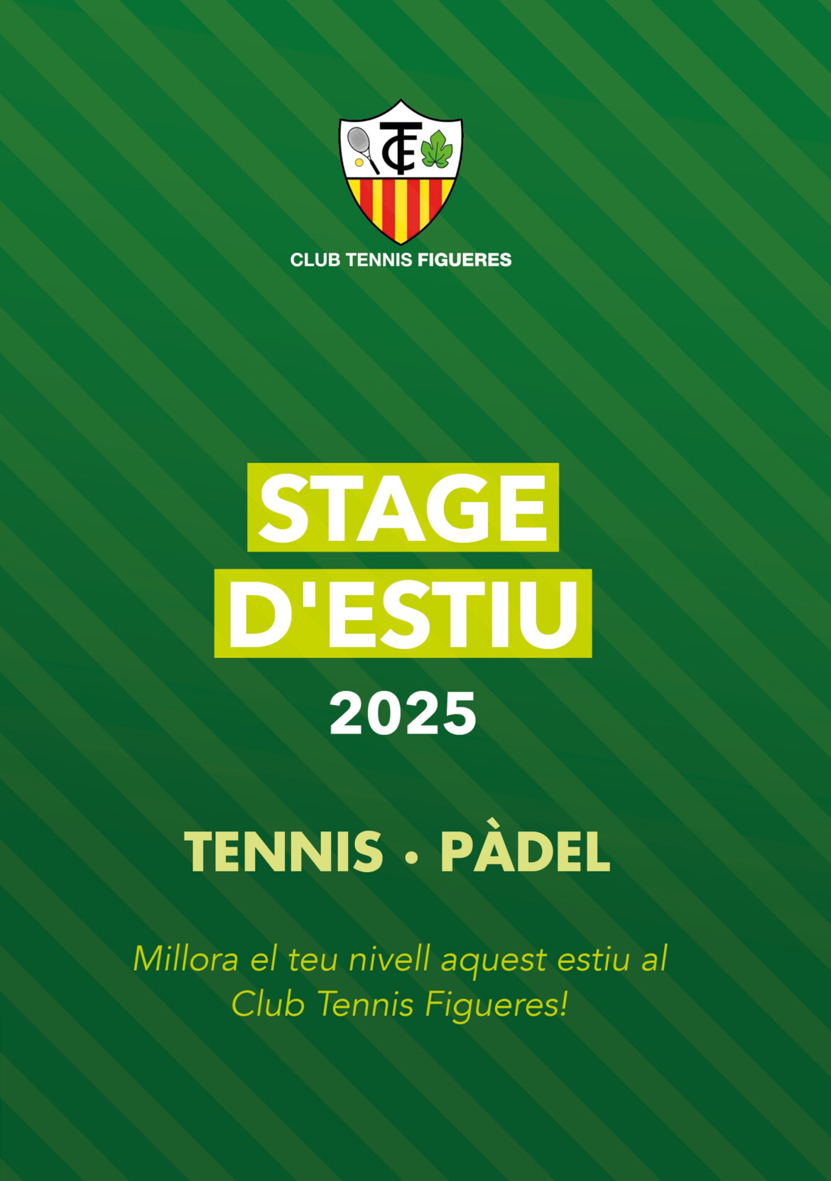 stage-1.jpg